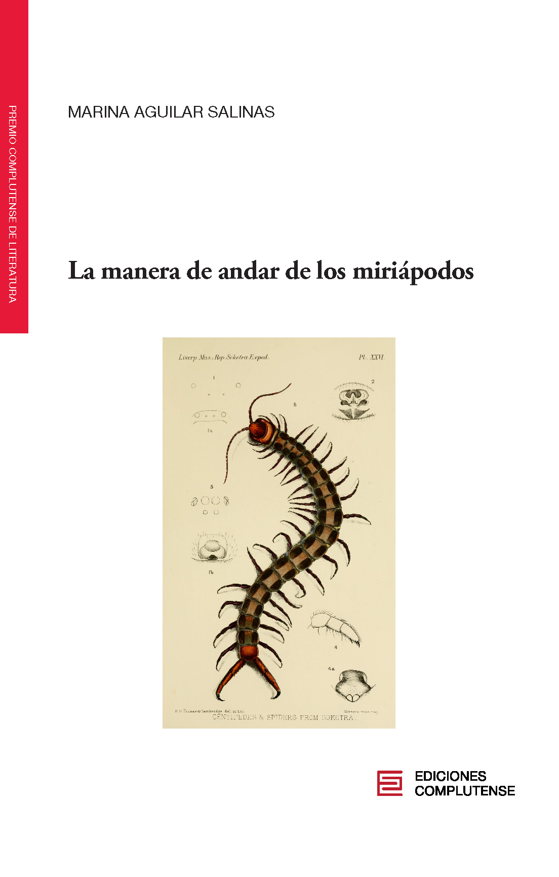 La manera de andar de los miriápodos