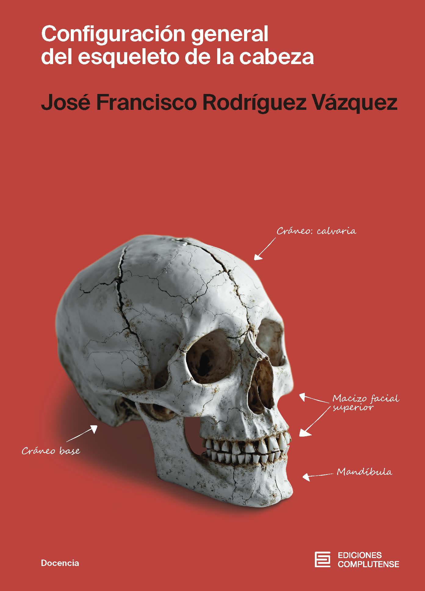 Configuración  Gral. del esqueleto de la cabeza